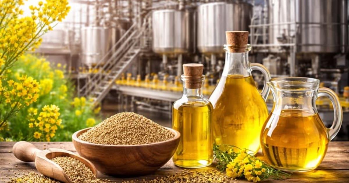 Ghee & Cooking Oil Prices Likely to Rise by Rs. 150 Per Kg in Pakistan Amid Fuel Crisis 🍳⛽